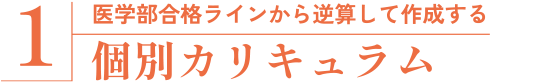 医学部合格ラインから逆算して作成する 個別カリキュラム