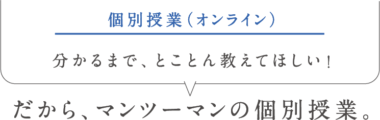 個別授業（オンライン）分かるまで、とことん教えてほしい！だから、マンツーマンの個別授業。